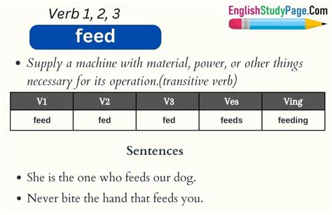 Feed Verb 1 2 3 Past And Past Participle Form Tense Of Feed V1 V2 V3