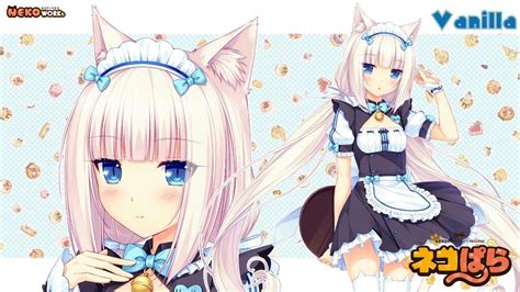 nekopara wiki anime amino