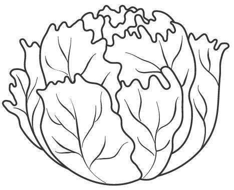 Lechuga Vegetable Coloring Pages Coloring Pages Fruit Coloring Pages