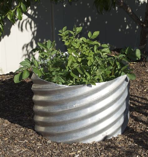 Using Galvanized Corrugated Pipe For Vegetable Containers