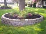 Pictures of Landscaping Ideas Around Trees