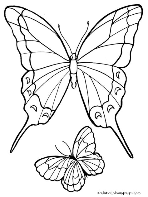 21 Picture Of A Butterfly To Colour Homecolor Homecolor