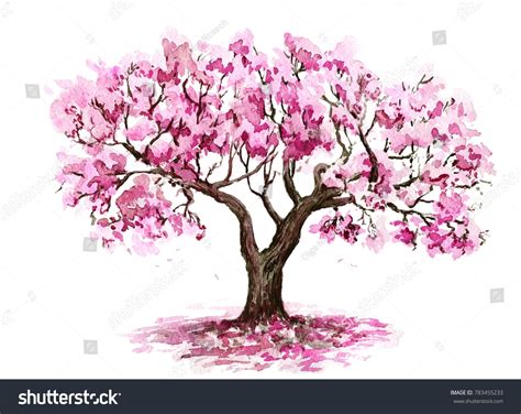 Ilustración De Stock Sobre El árbol Sakura Dibujado A Mano 783455233