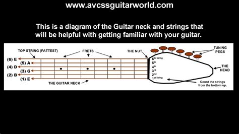 Guitar Lessons Basic Info For Beginners Diagram Of Neck Used In The