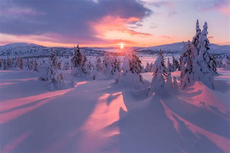 🇳🇴 Soft Morning Light Norway By Jørn Allan Pedersen On 500px ️🌅