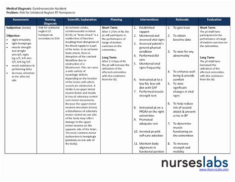 Examples Of Nursing Care Plans Example Document Template Nursing