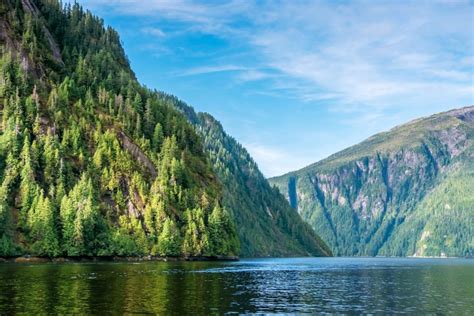 The Tongass National Forest Road Trip Guide Drivin And Vibin