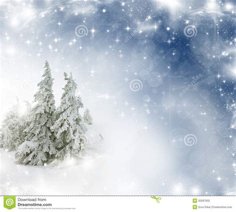 Christmas Background With Stars And Snowy Fir Trees Stock Photo Image