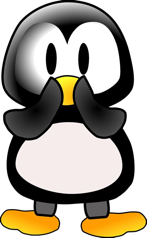 Penguin Surprised Animal Free Vector Graphic On Pixabay