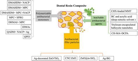 Antibacterial Dental Resin Composites A Narrative Review