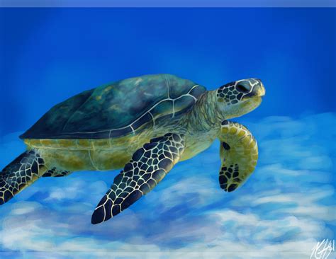 Sea Turtle Digital Painting By Pandamarium On Deviantart