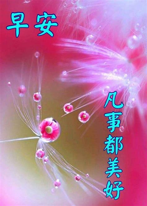 Good Morning Messages For Friends In Chinese Hutomo