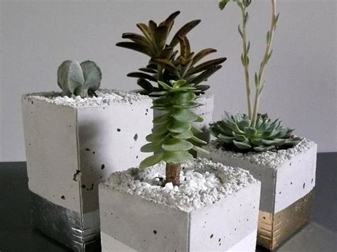 Cement Flower Pots In Sri Lanka | Home Design Ideas