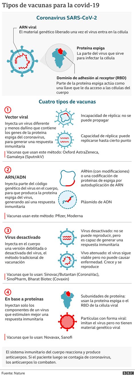 Coronavirus El Gráfico Que Muestra Cómo Funcionan 4 Tipos De Vacunas