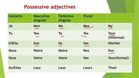 Possessive Adjectives In French YouTube