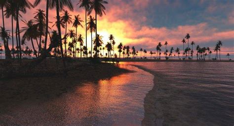 Palm Tree Beach Sunset Wallpaper 4k Nl75 Beach Vacation Summer Night