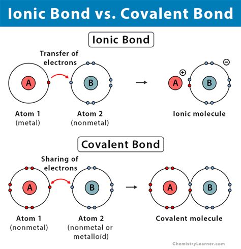 Ionic And Covalent Bonds Venn Diagram