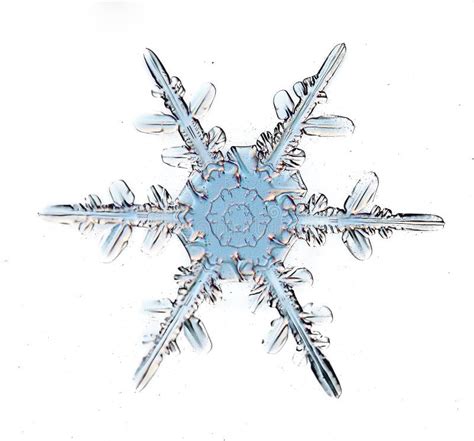 Snowflake Crystal Stock Image Image Of Magical Design 58346203