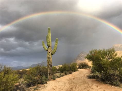 Itap Of A Rainbow In The Desert Itookapicture