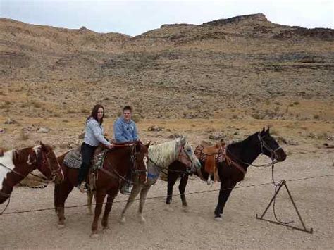 Las Vegas Nevada Cowboy Trail Rides Photo Picture Image