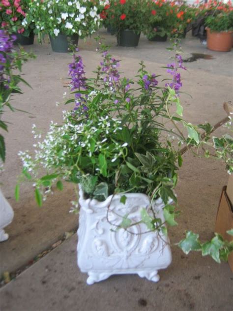 Maybe you would like to learn more about one of these? Greenlife Nursery & Landscaping l Waco TX | nursery ...