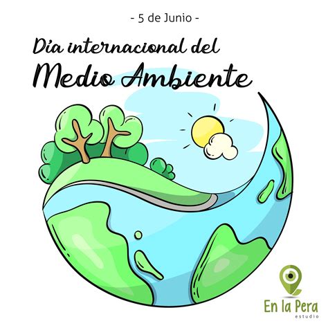 Medio Ambiente en 2020 | Dia del medio ambiente, Medio ambiente