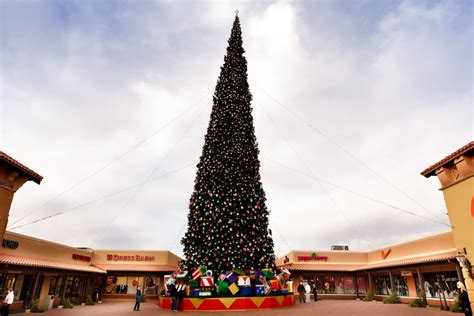 Americas Tallest Fresh Cut Christmas Tree Arrives At Outlets At Anthem
