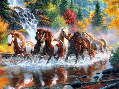 Herd Of Wild Horses In River Hd Desktop Wallpaper Widescreen High