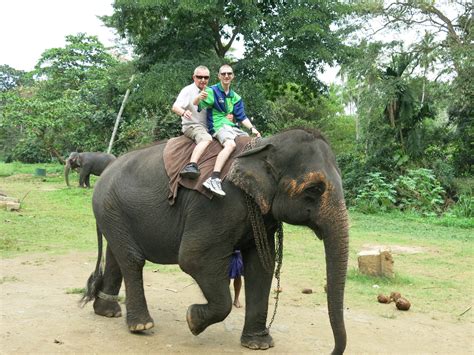 Elephant Riding In Pinnawala Sri Lanka Dont Stop Living