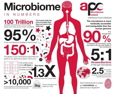The Microbiome — Improving Health Food Systems And Economic Prosperity