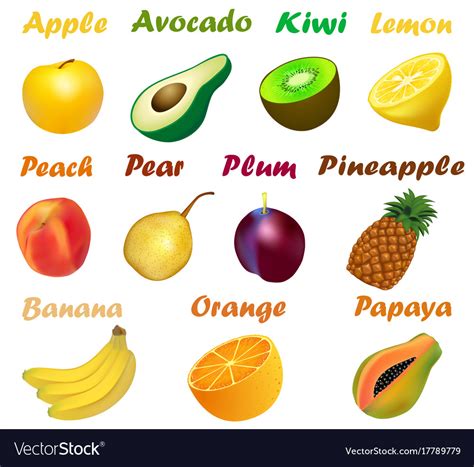 List 100 Pictures Types Of Citrus Fruits Pictures With Names Sharp