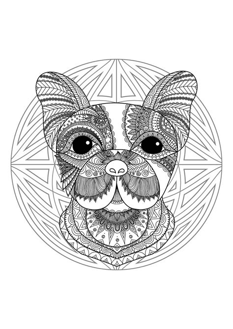 | everything has been classified in themes which are commonly used in primary education. Animal Mandala Coloring Pages - Best Coloring Pages For Kids