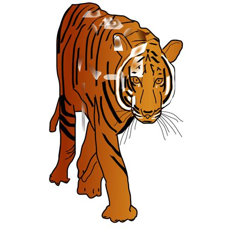 Prowling Tiger Png Svg Clip Art For Web Download Clip Art Png Icon Arts