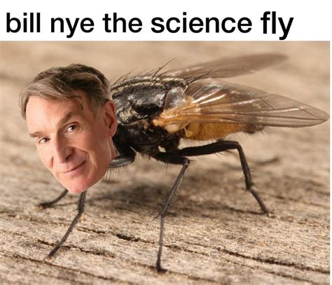 Science Fly Memes