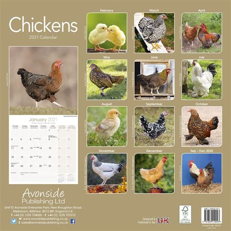 Check out our printable chickens selection for the very best in unique or custom, handmade pieces from our shops. Chickens Calendar, Animal Calendars | Pet Prints Inc
