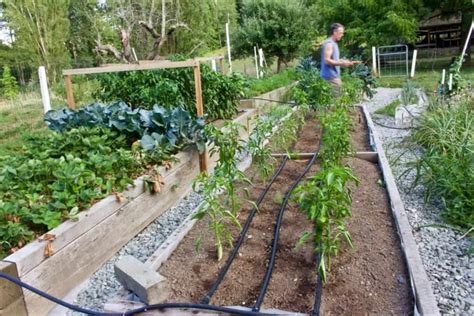 Put stakes on each corner of the plot and attach string to each stake. Garden Plot Location Considerations-Homemade Food Junkie