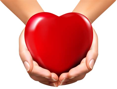 Heart In Hands Png Transparent Image Download Size 600x459px