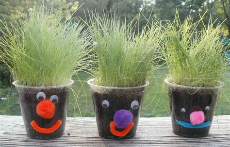 Little Stars Learning Seeds Seeds Seeds Book Activity 5 Grass Heads