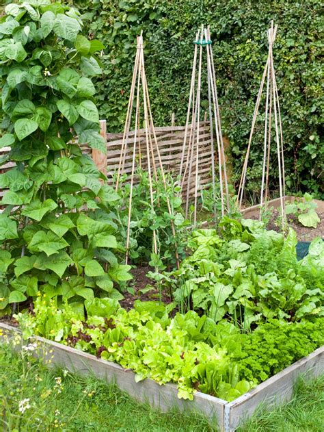 How To Build A Raised Vegetable Bed Hgtv