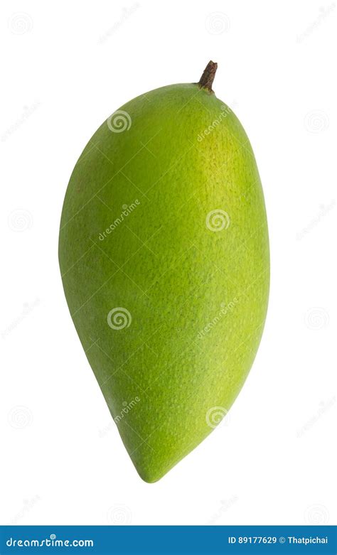 Green Mango Fruit Isolated On White Background Stock Image Image Of