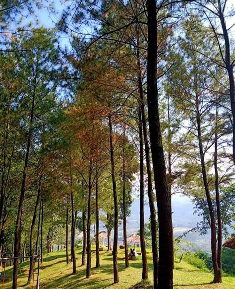 Waktu saat ini setia negara desa, keluharan. 10 Tempat Wisata di Kuningan yang Terbaru Lagi Hits