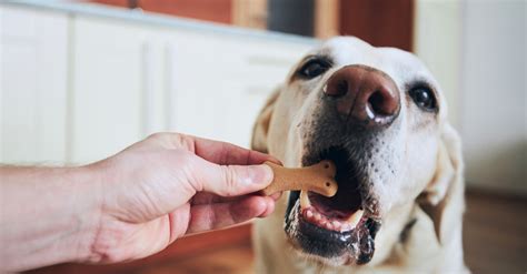 Generally, weight loss foods have a lower amount of sodium than standard foods so they can be a good starting point. 9 Outstanding Low Sodium Treats For Your Dog - http://www ...