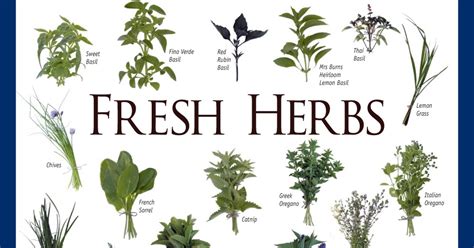 Welcome To All Things Herbal Herb Identification Chart