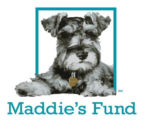 Maddies Fund Grants 28m To Aid Access To Veterinary Care