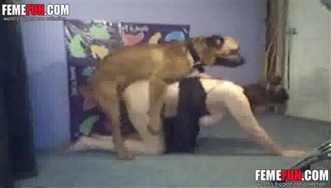 Mom Fucks Dog When Home Alone And Enjoys The Finest Zoophilia On Cam