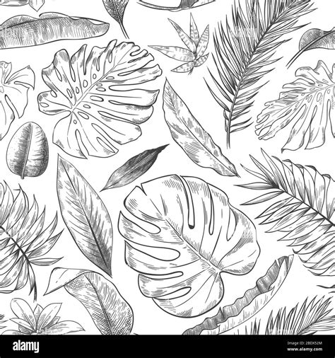 Hand Drawn Tropical Leaves Pattern Sketch Drawing Palm Branch