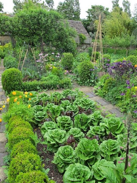 A Potager Is The French Term For An Ornamental Vegetable
