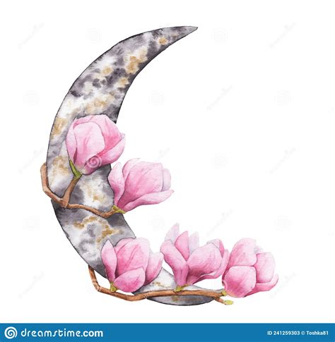Watercolor Drawing Of A Crescent Moon And Flowers Stock Image Image