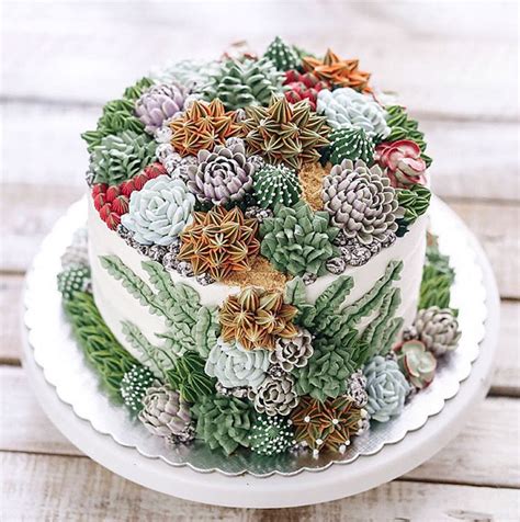 Succulent Cakes That Will Make You Drool A Tutorial Just For You • Avalon Cakes Online School