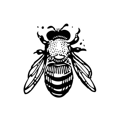 Bumble Bee Honey Bee Vector Stencil Art In Black And White Bee Stencil